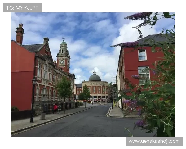 斯旺西足球俱乐部的崛起与挑战：探索这支威尔士球队的辉煌历程