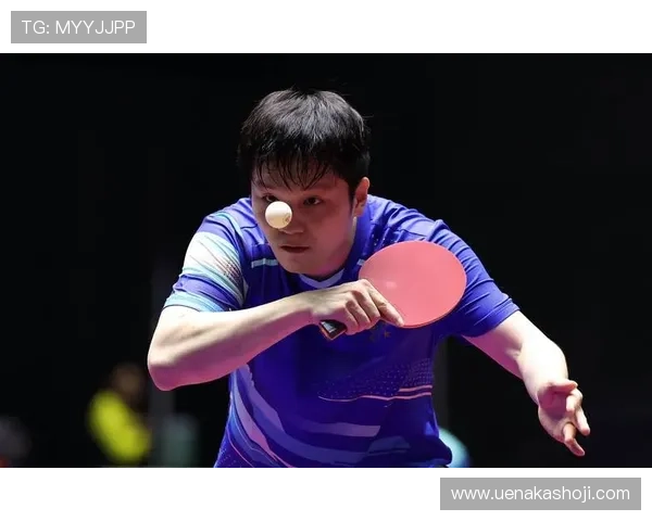 网球世界风云再起 新星崛起与老将争霸精彩纷呈