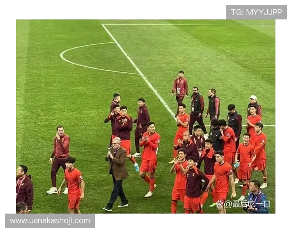 足球世界杯亚洲区预选赛激烈进行 中国队力争出线机会大增